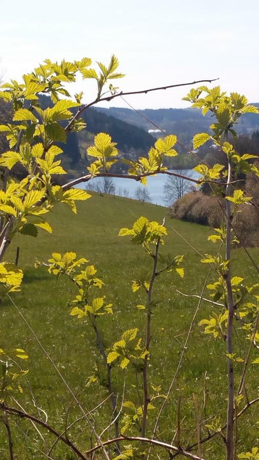 Ferienhaus " Silly " Am Schoenen Listersee Meinerzhagen Exteriér fotografie